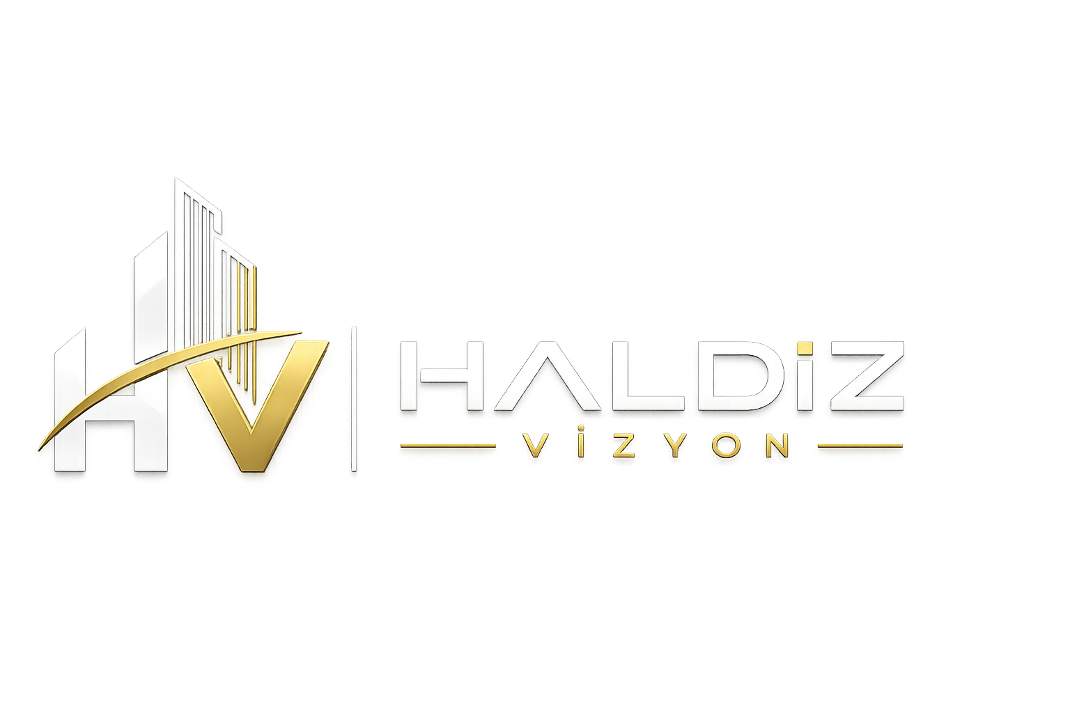 Haldiz Vizyon logosu